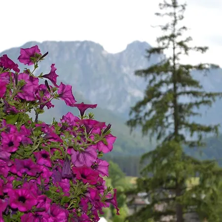 Ubytování v soukromí Schodnica