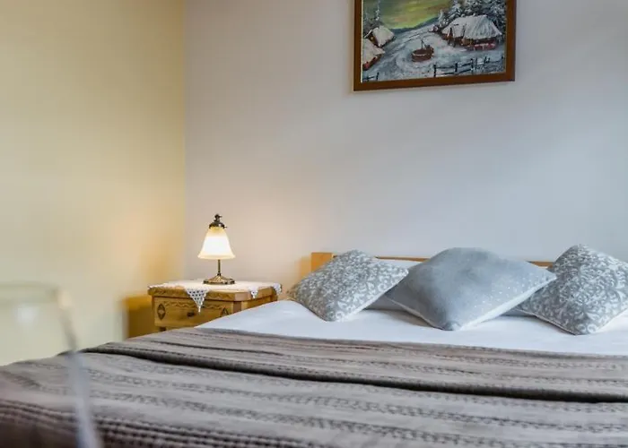 Schodnica Pansiyon *