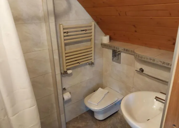 شودنيكا * زاكوباني