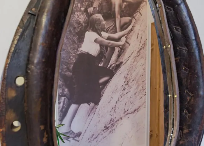 شودنيكا زاكوباني