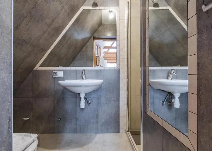 شودنيكا * زاكوباني